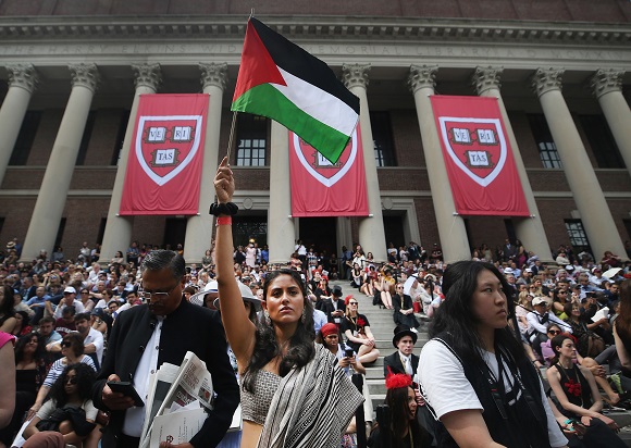 Protests at Harvard University in bulletin news & online news