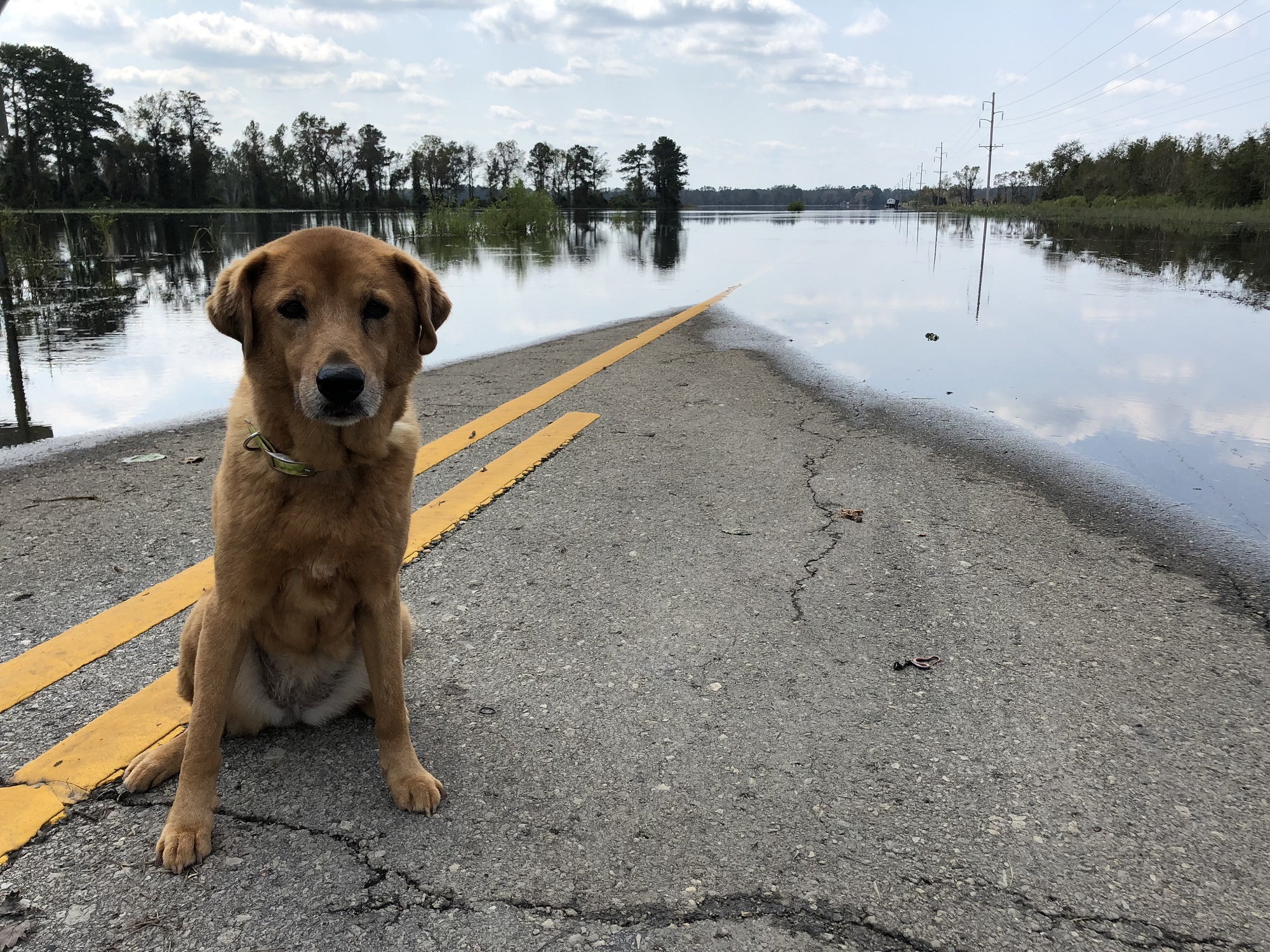 Hurricane problems in weather news & bulletin news