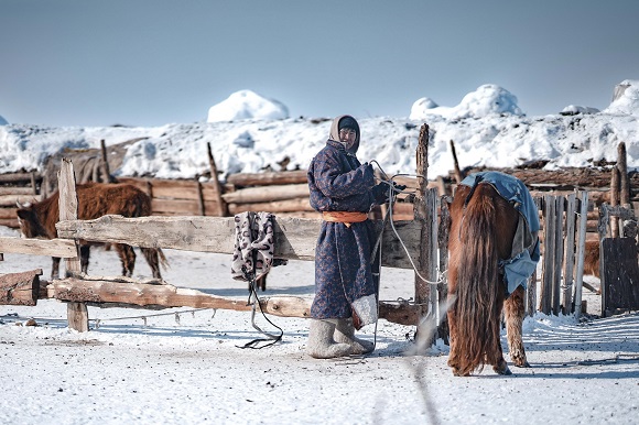 Mongoila and climate changes in world news & headline news