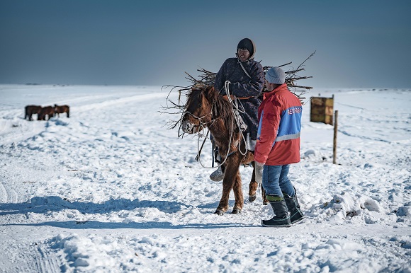 Mongolia in world news & bulletin news