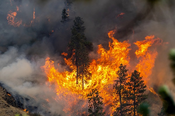 wildfire in northern california in breaking news