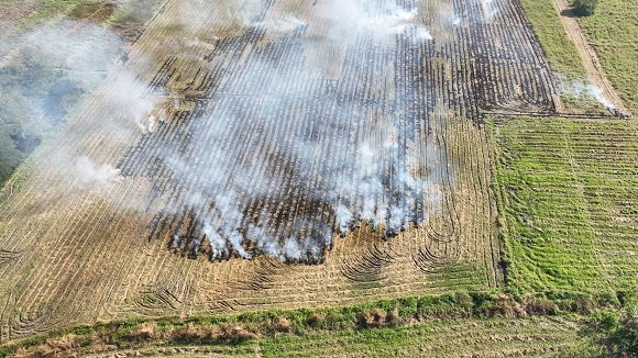 headlines north american news online news agricultural burning